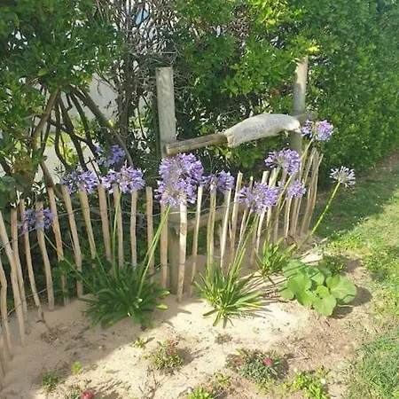 Maison De Vacances : Bord De Mer Saint-Pierre-d'Oleron Esterno foto