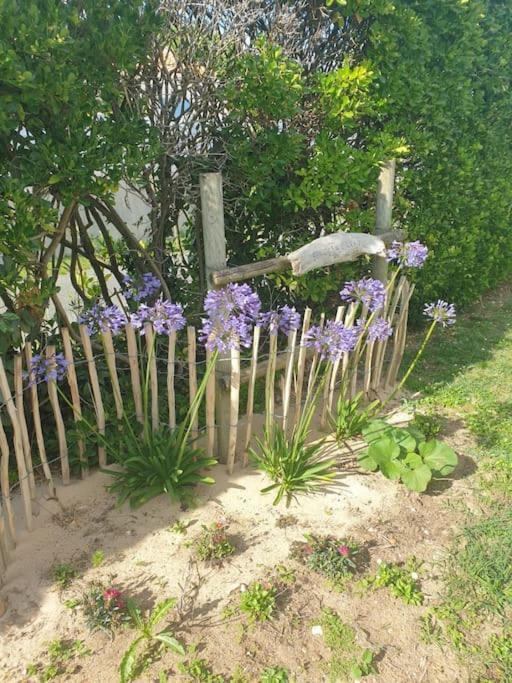 Maison De : Bord De Casa vacanze Saint-Pierre-d'Oleron